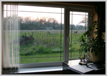 view from edit suit window with two local deer